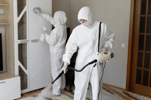 Affordable Infectious Disease Decontamination solutions in Roopville, GA